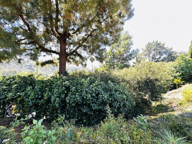 Building Photo - 9612 Arby Dr