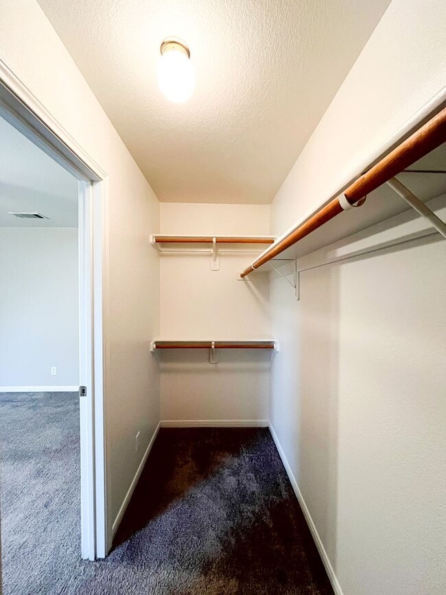 Building Photo - 1213 Cinch Dr