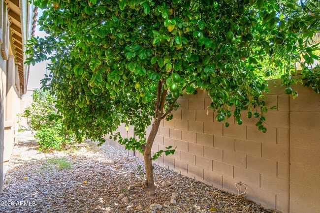 Building Photo - 423 E Mead Dr