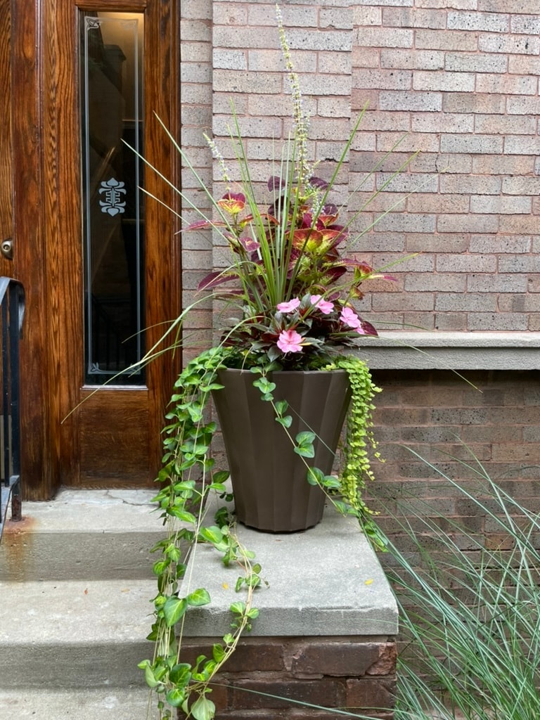 Building Photo - 743 W California Ter