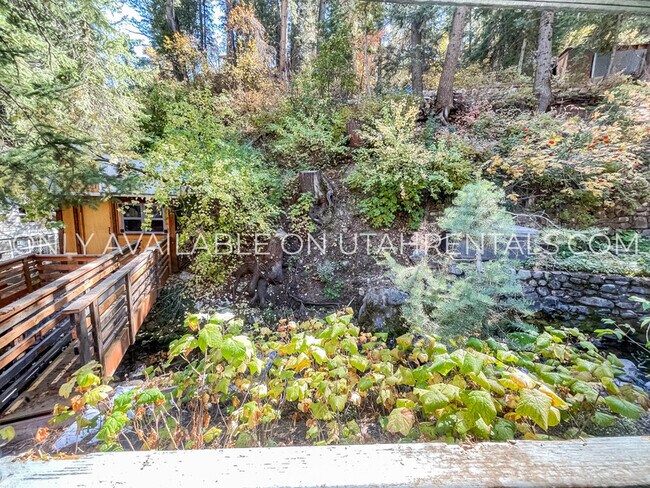 Building Photo - 3162 E Big Pne Cyn