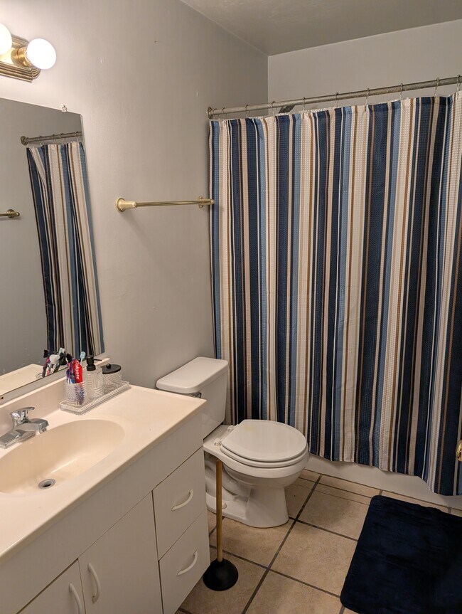 Master Bath - 2443 Chateau Ln