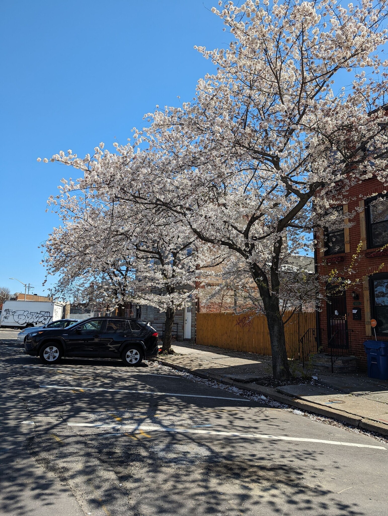 Lots of Trees & Lights on nearby Streets - 409 S Spring St