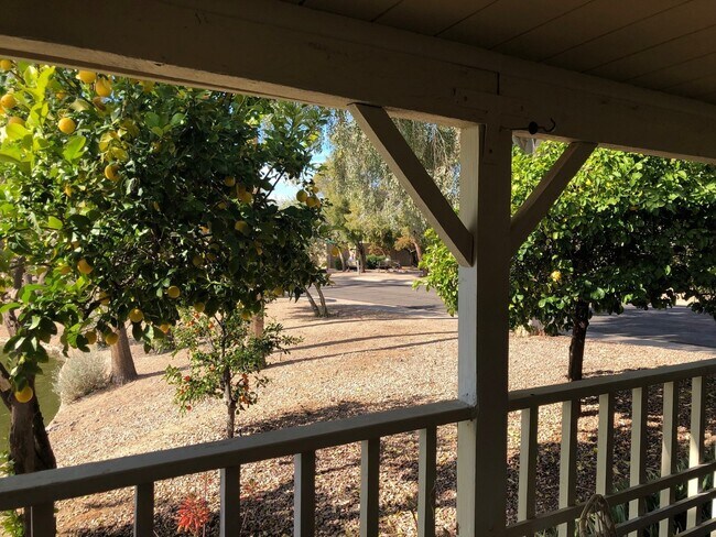 Building Photo - Available from May to November 2026!  Lovely Waterfront Home in 45+ Active Adult Resort Community...