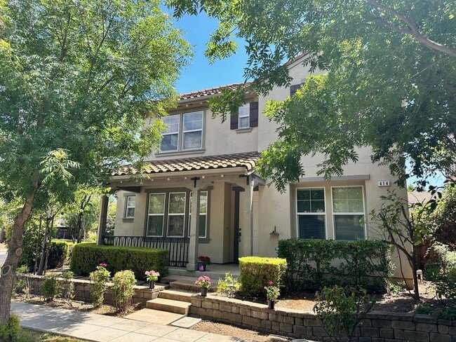 Building Photo - Spacious 4 Bed, 3 Bath House in Mountain House, CA