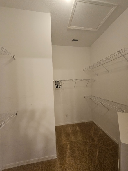 Building Photo - 3615 Soft Breeze Cir