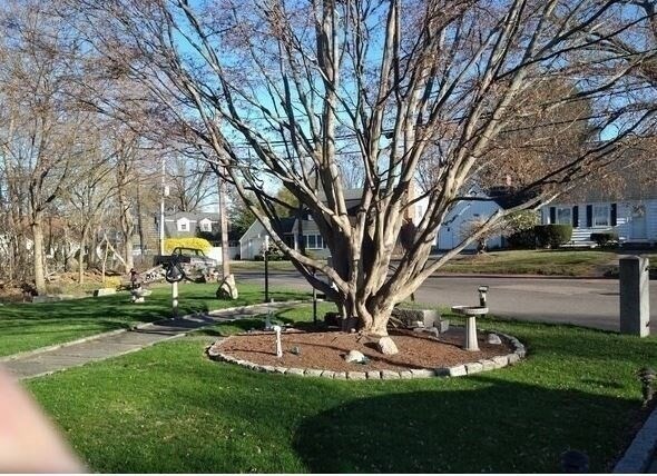 Building Photo - 114 Spy Pond Pkwy