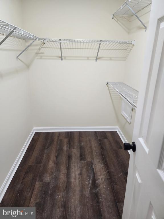 Building Photo - 14120 Silver Teal Way