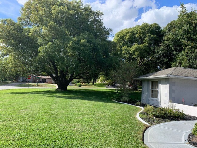 Building Photo - Beautiful Spring Hill pool home