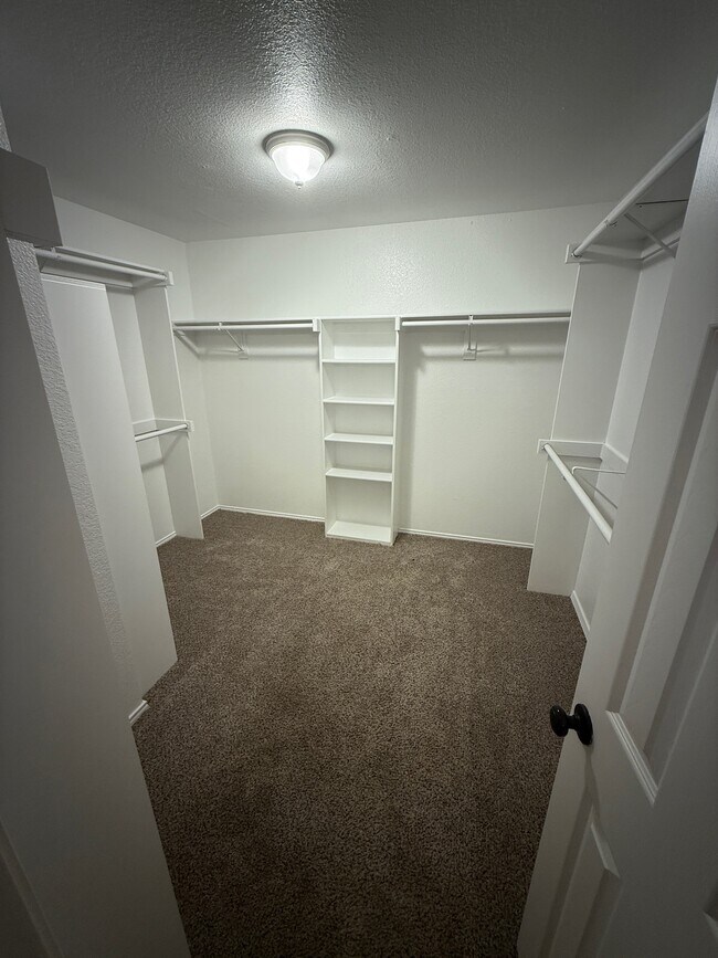 Building Photo - 3404 Pinecone Dr