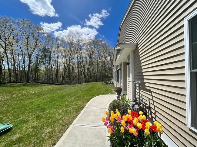 Building Photo - 31 Albert St