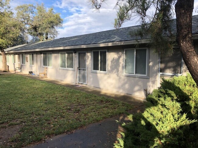 Building Photo - 3629 Bechelli Lane - 37