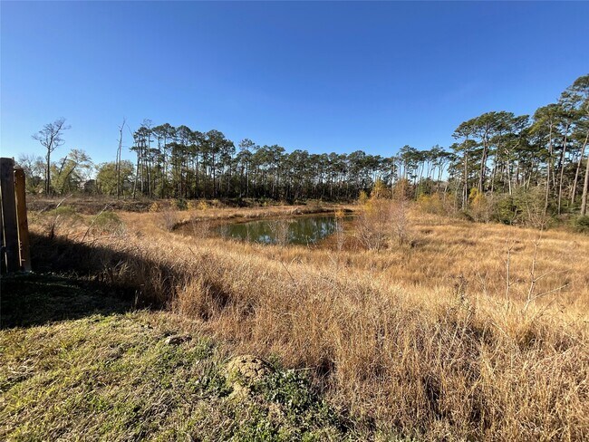 Building Photo - 8039 Brooks Crossing Dr