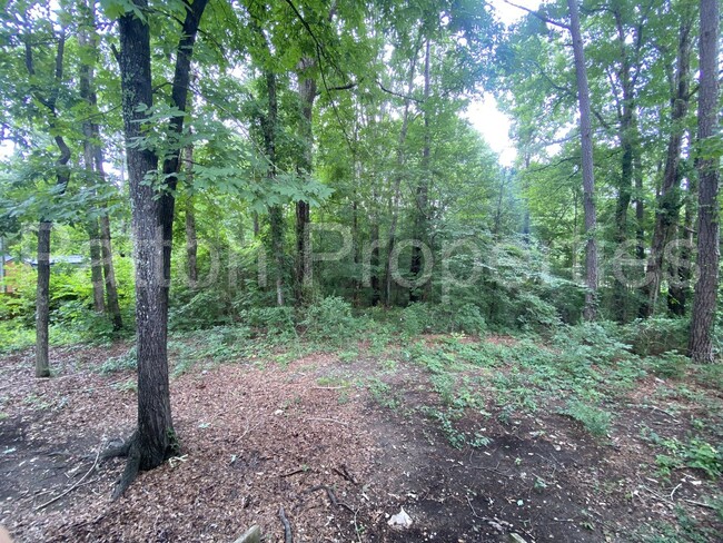 Building Photo - Crane Forest Home