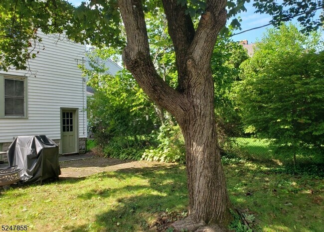 Building Photo - 19 Rosedale Ave