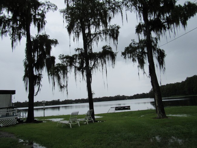 Building Photo - 4408 Land O Lakes Blvd