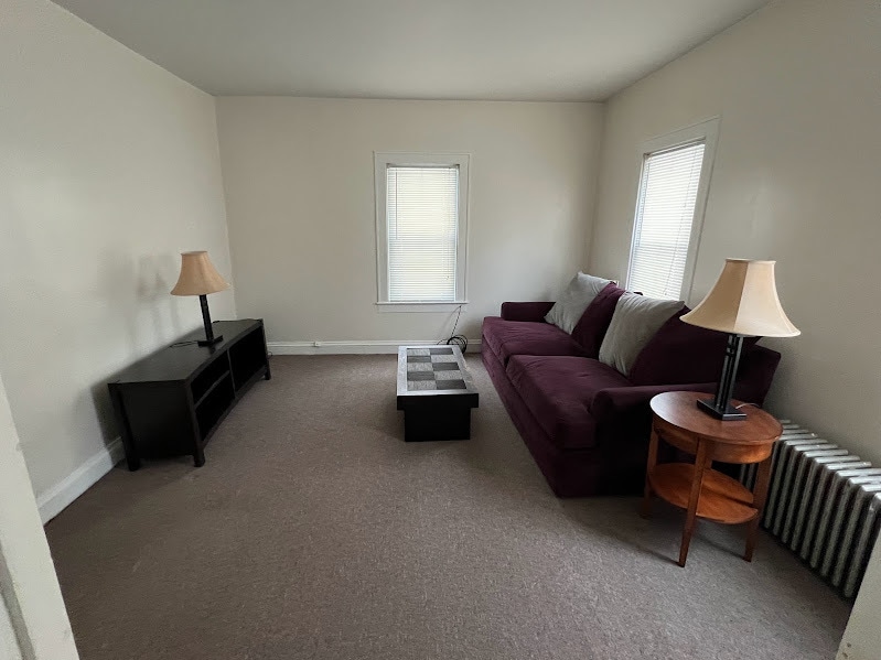 Furnished Living Room - 164 Wall St