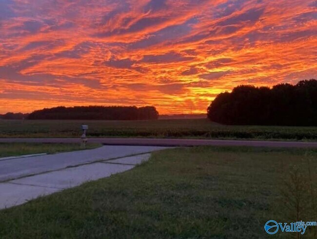 Building Photo - 732 Jimmy Fisk Rd