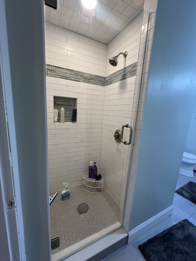 newly renovated shower - 33 Beaumont St