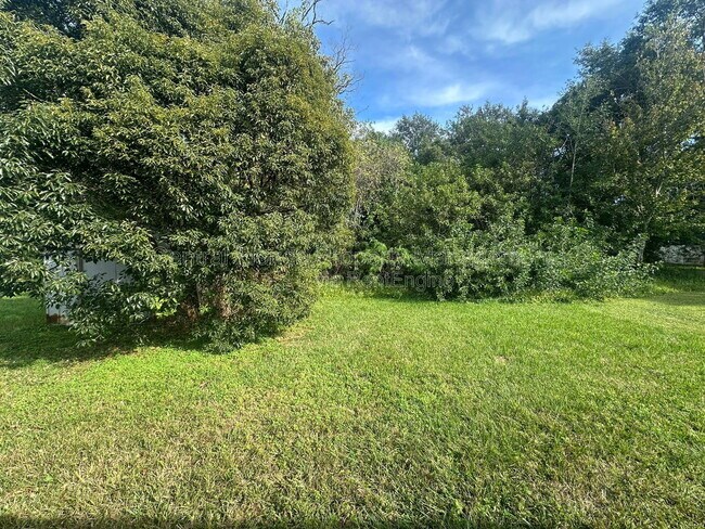 Building Photo - 213 Montana Ave