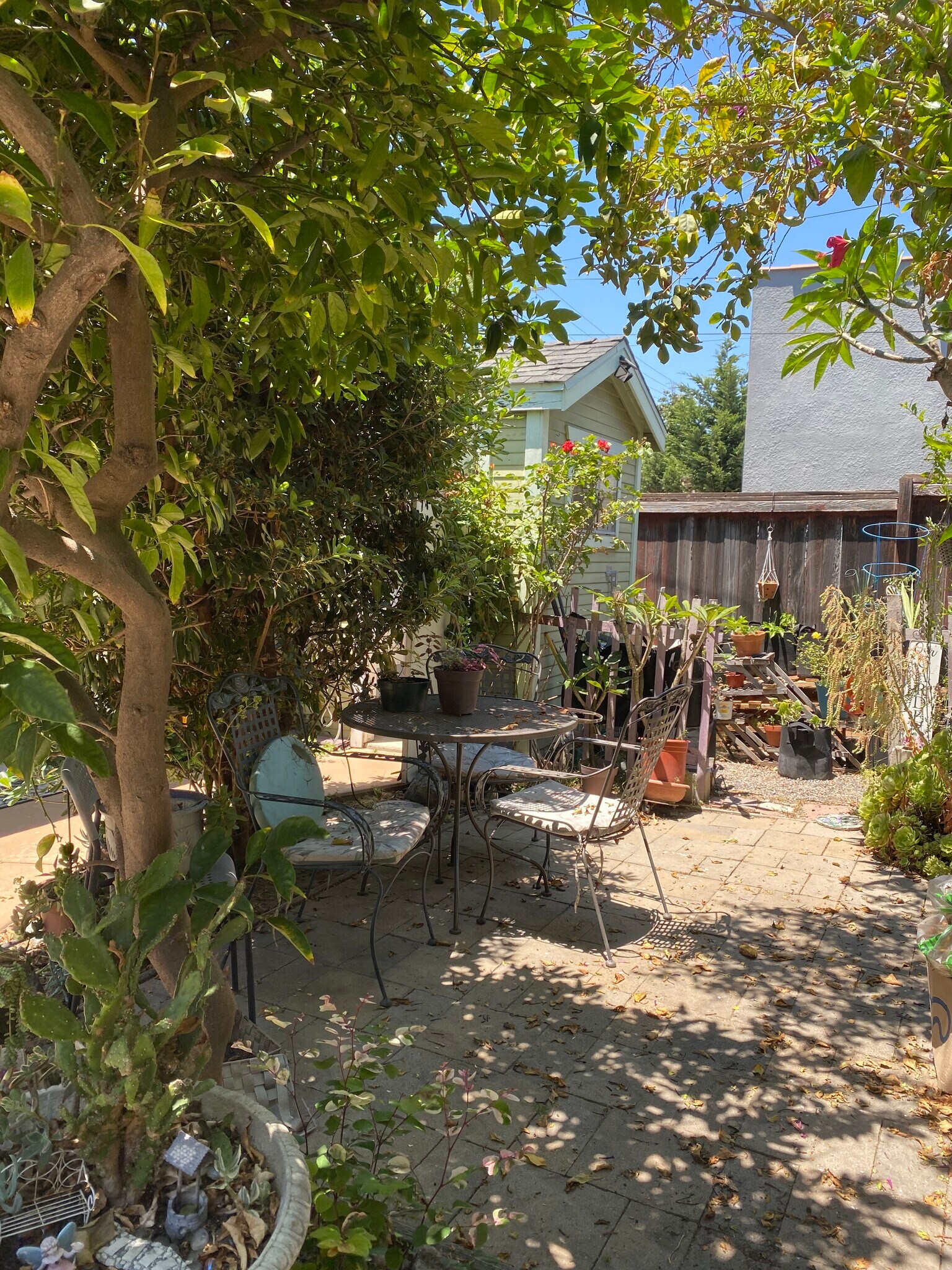 Middle Patio - 1845 Junipero Ave