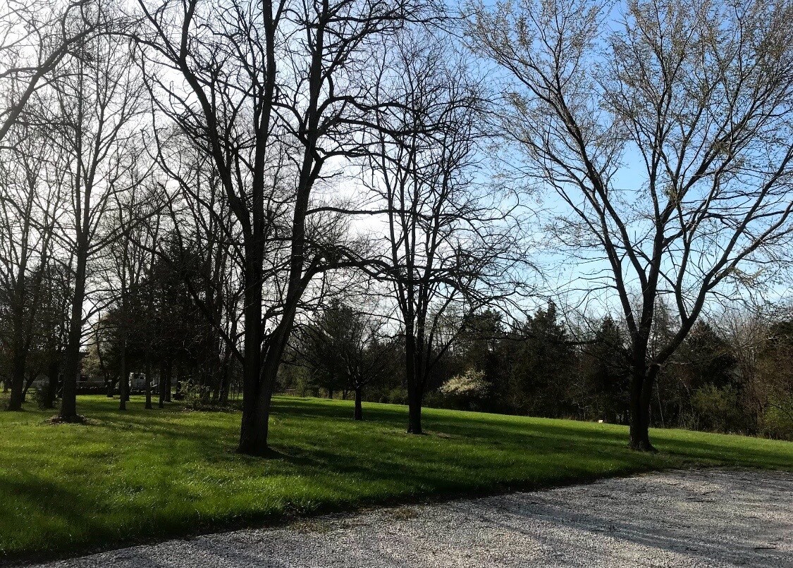 Building Photo - 4170 Jannie Dr