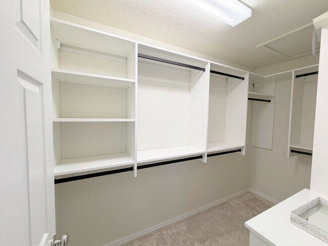 Building Photo - 1288 Pavia Dr