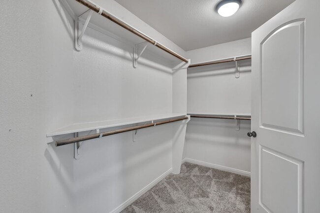 Building Photo - One story, and a 3-car garage!