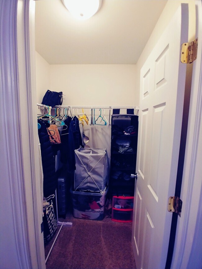 Building Photo - 7th and Roosevelt - Available August 2026