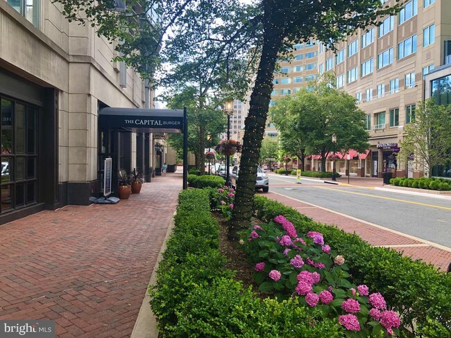 Building Photo - 12004 Taliesin Pl