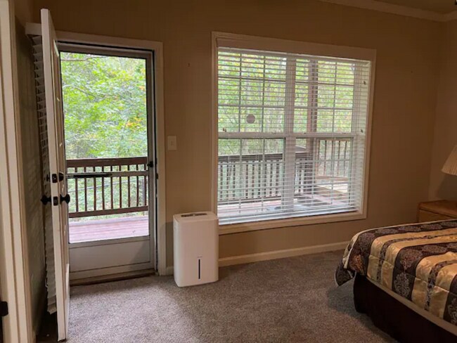 Building Photo - 1893 Appaloosa Run Trl