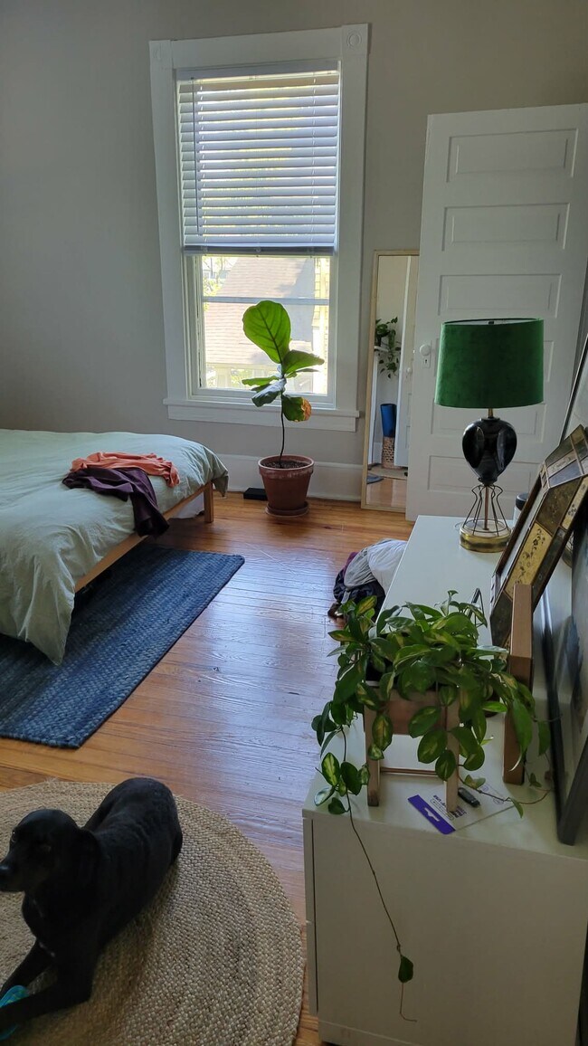 Building Photo - 511 Cleveland St