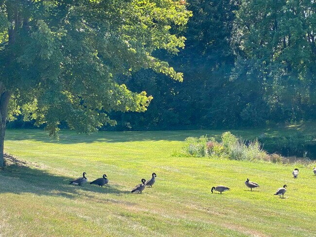 Building Photo - 385 Huse Rd