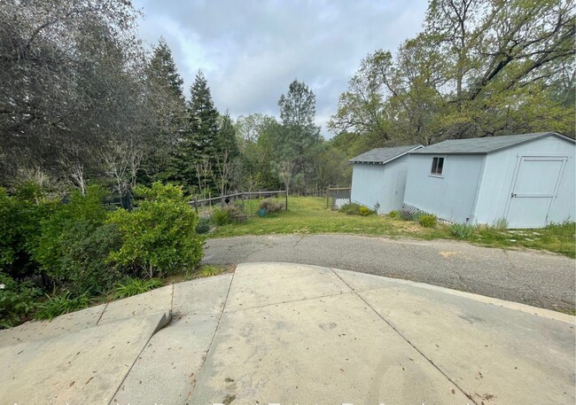 Driveway - 4394 Fowler Ln