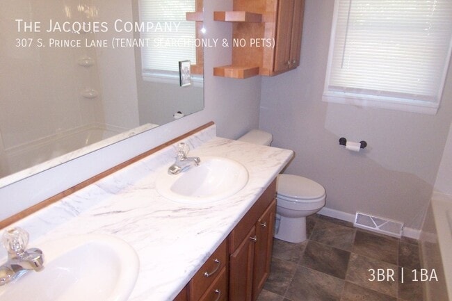 Building Photo - 307 S Prince Ln