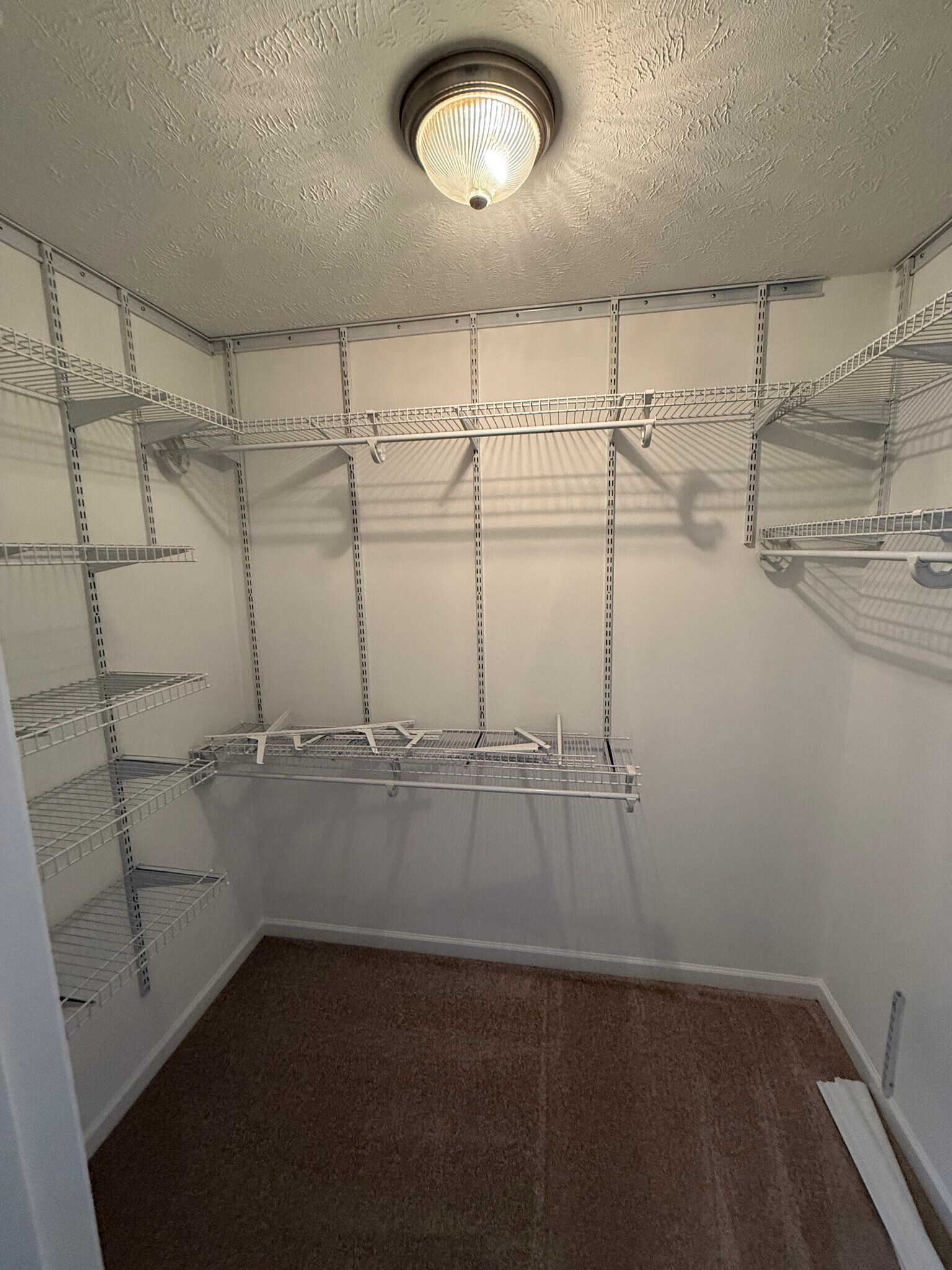 Building Photo - 2028 Shaylin Loop