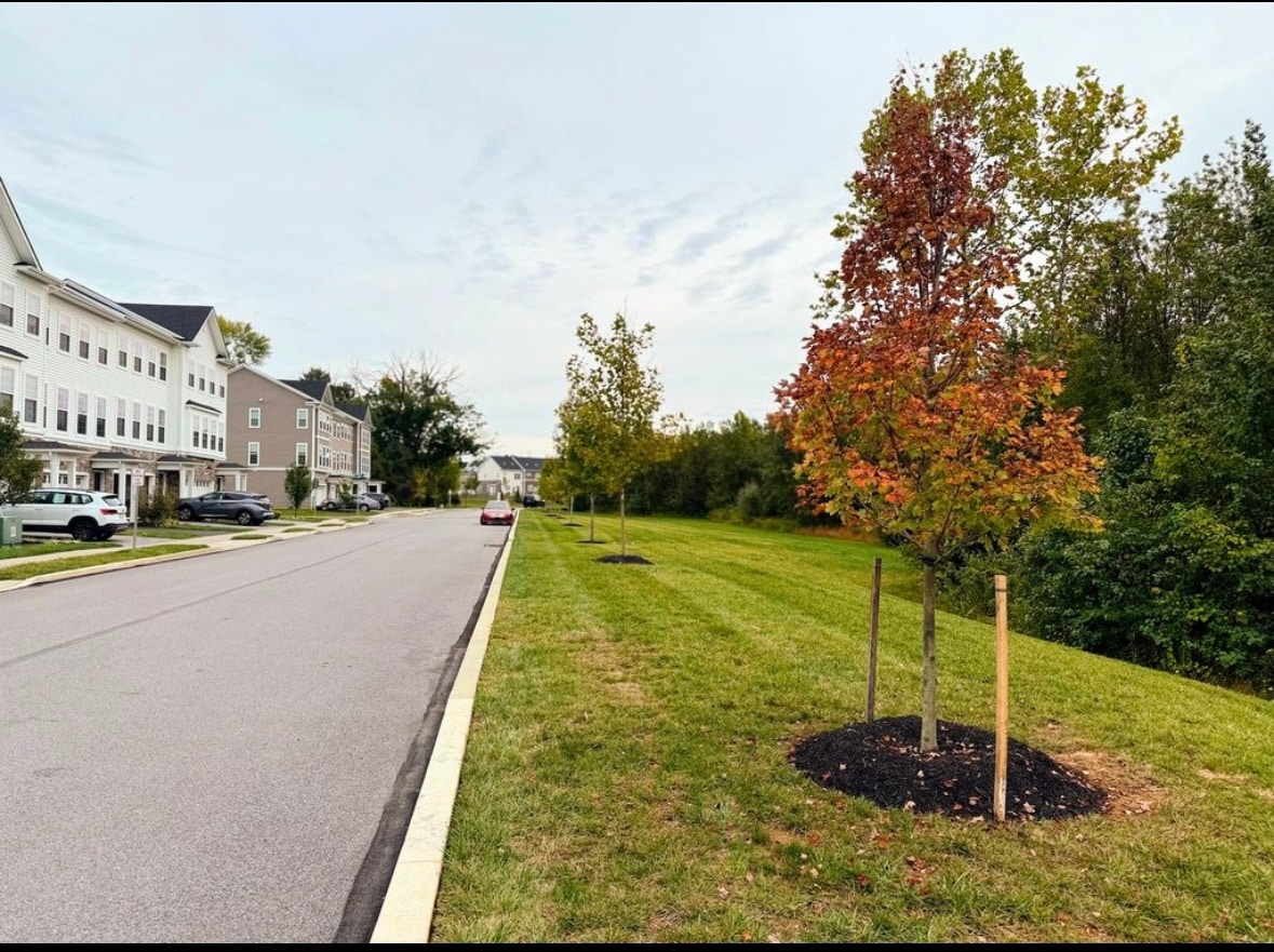 Building Photo - 119 Livingston Ln