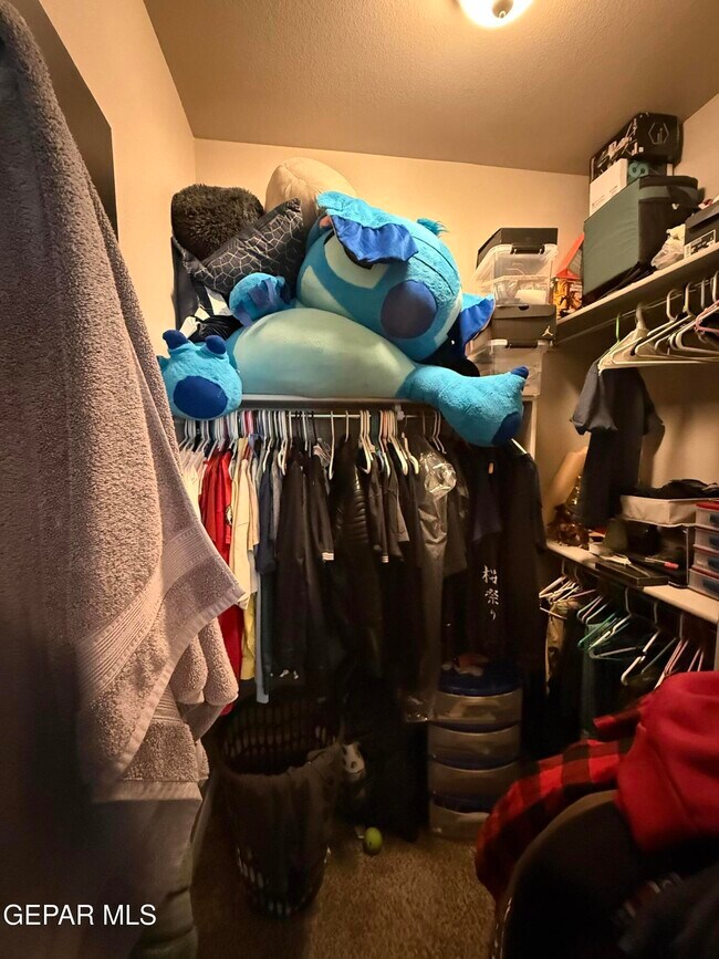 Building Photo - 954 Brudenal Pl