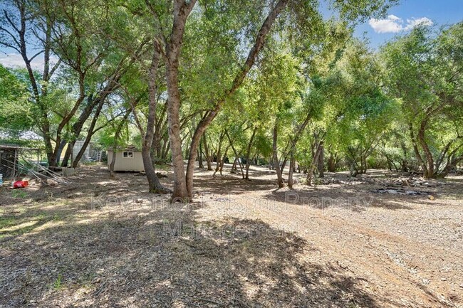 Building Photo - 2541 Deer Brush Ln