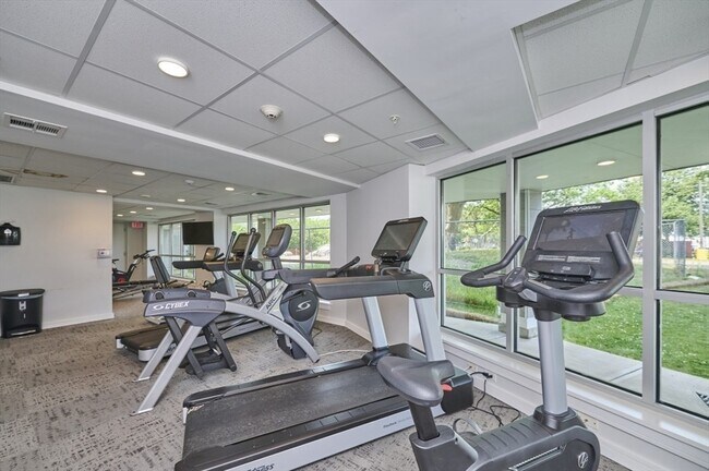 Building Photo - 262 Monsignor O'Brien Hwy