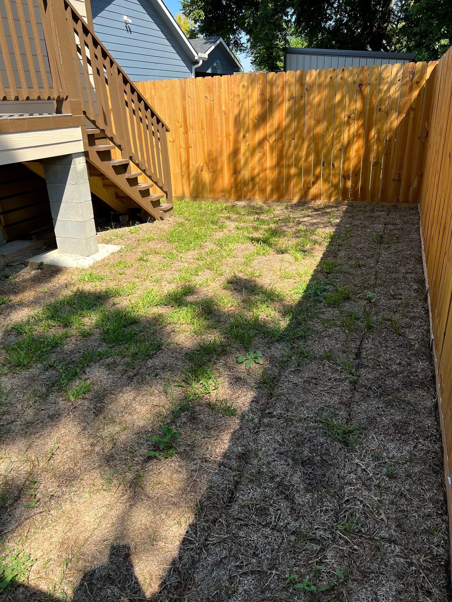 Backyard - 4822 Falls St