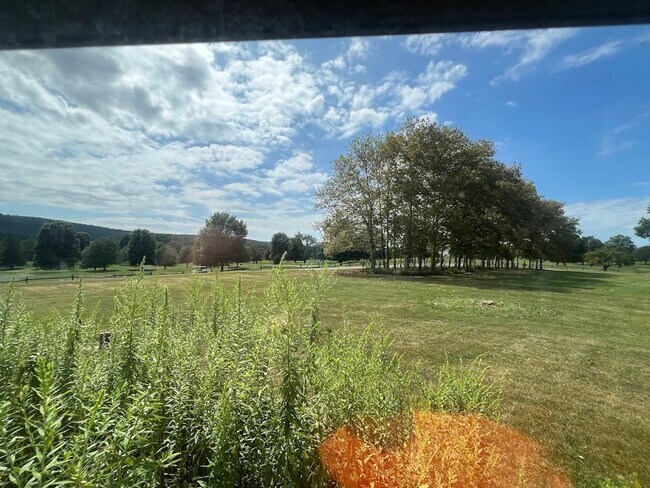 Building Photo - 3 Bedroom Home on 3 Acres