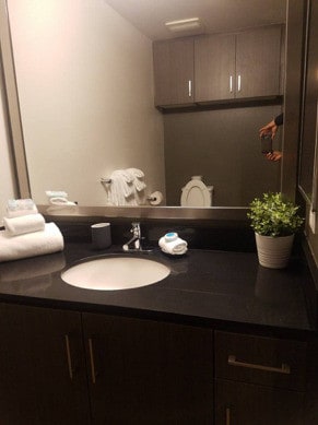 Bathroom - 17134 Millikan Ave