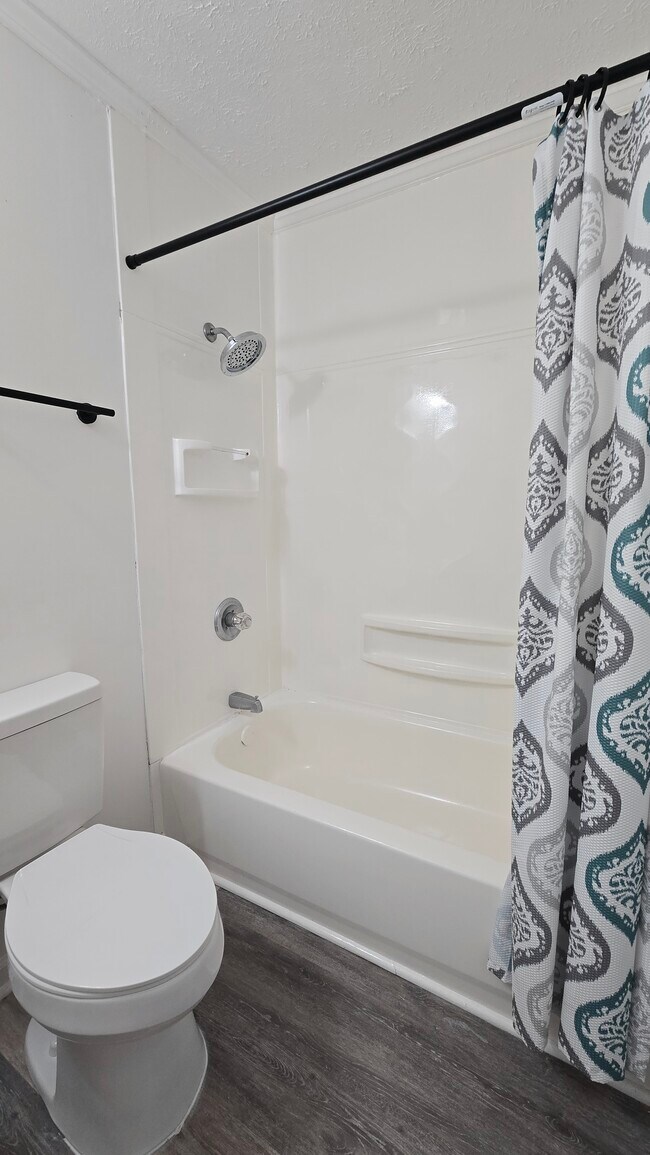 Building Photo - Monetta Apartments