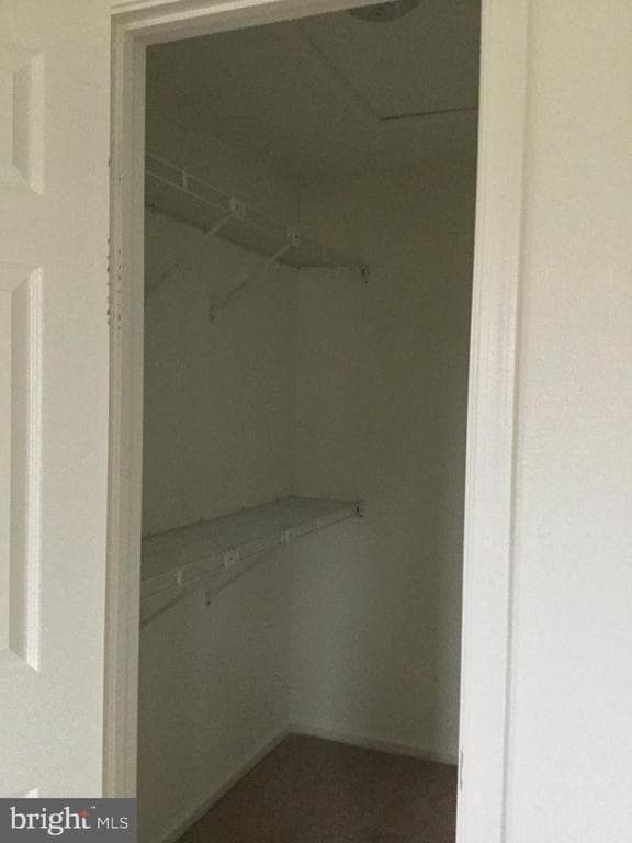 Building Photo - 12323 Fox Lake Ct