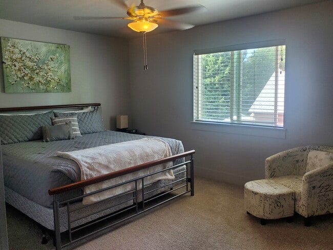 Master Bdrm/walk in closet - 1724 N Solomon Ct