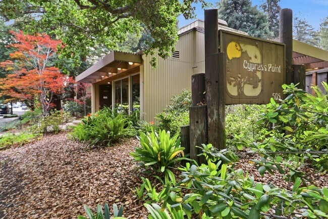 Building Photo - Move-In Ready 2 Bedroom/1 Bathroom Condo in The Heart of Mountain View!