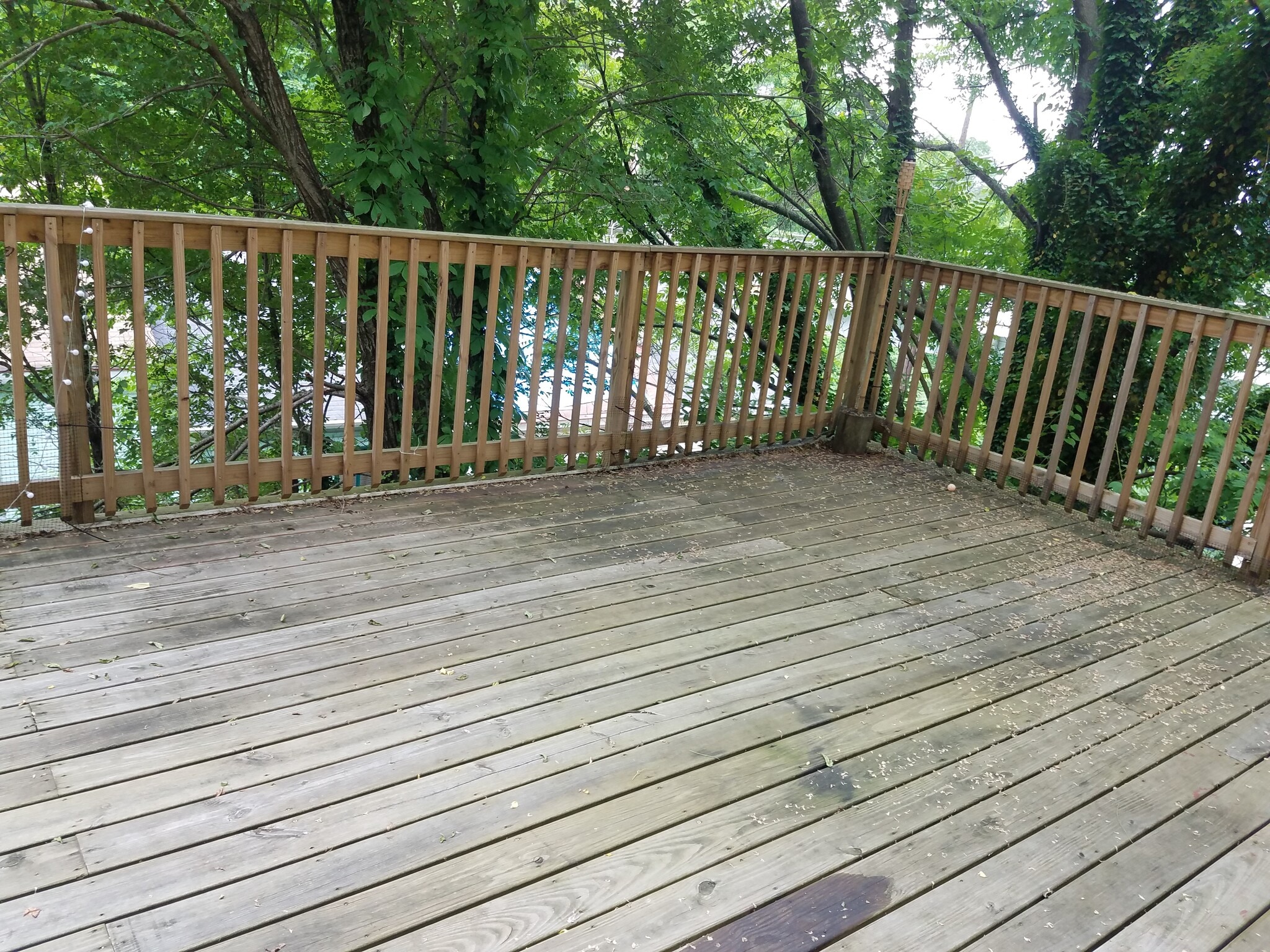 Deck - 49 Sterling St