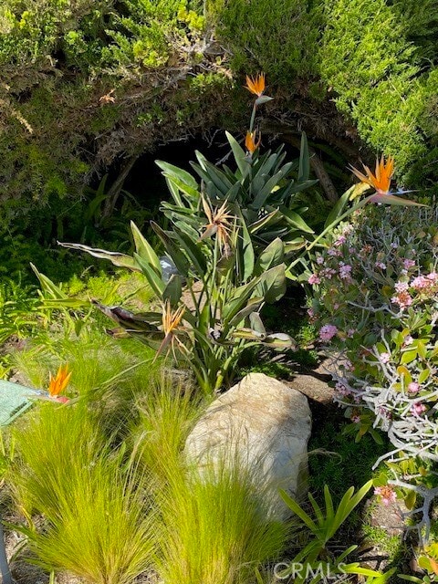 Building Photo - 3200 La Rotonda Dr