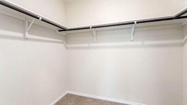 Building Photo - 5115 Greywacke Trl